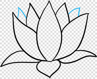 How To Draw A Lotus Flower   Sacred Lotus  HD Png DownloadTransparent PNG