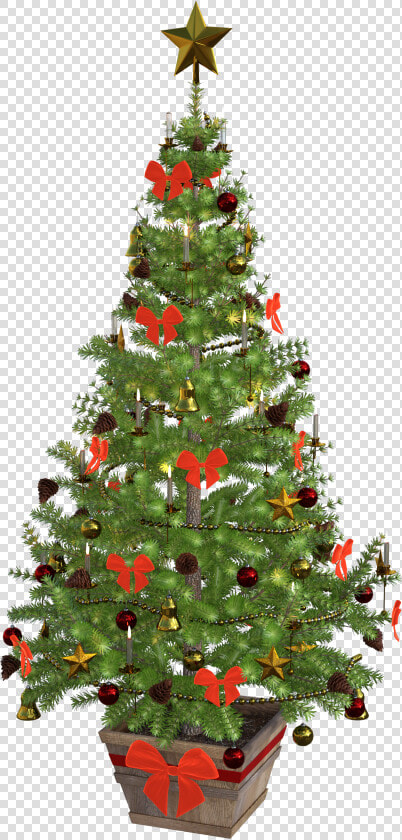 Christmas Tree Free Png Transparent Background Images   Small Christmas Tree With Lights And Decorations  Png DownloadTransparent PNG