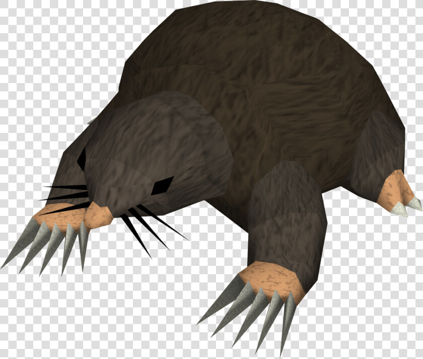 Osrs Giant Mole Png  Transparent PngTransparent PNG