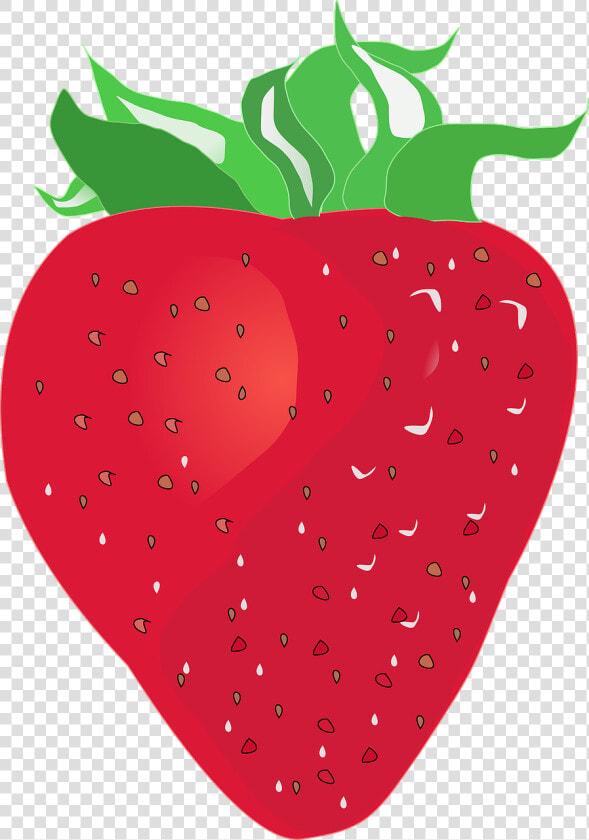 Strawberry Red Fruit Free Photo   สต อ เบ อ รี่ เวก เตอร์  HD Png DownloadTransparent PNG