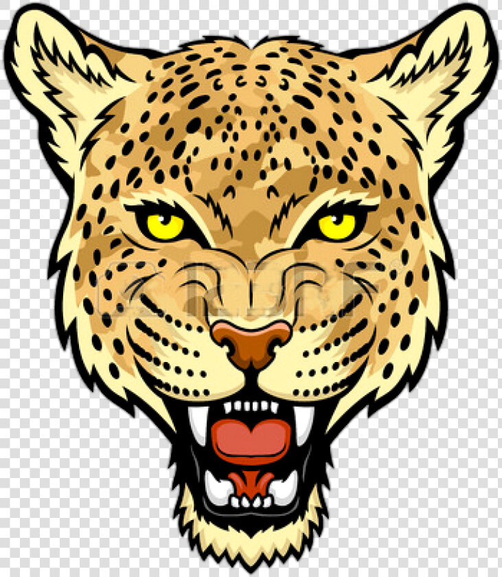 Snow At Getdrawings Com   Cartoon Snow Leopard Face  HD Png DownloadTransparent PNG