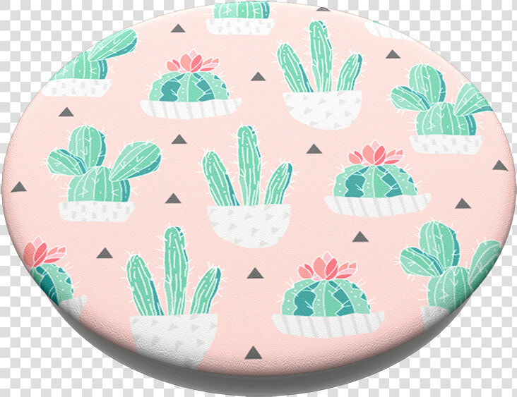 Transparent Cute Cactus Png   Cactus Popsocket  Png DownloadTransparent PNG