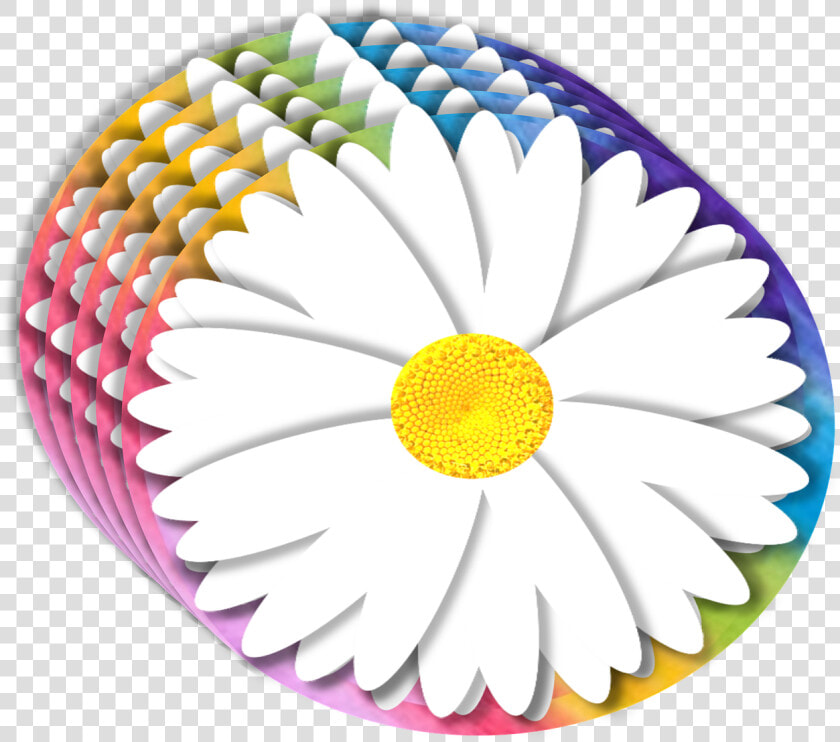 Daisy  3d  Element  Rainbow  Background  Petals  Floral   Chamomile  HD Png DownloadTransparent PNG