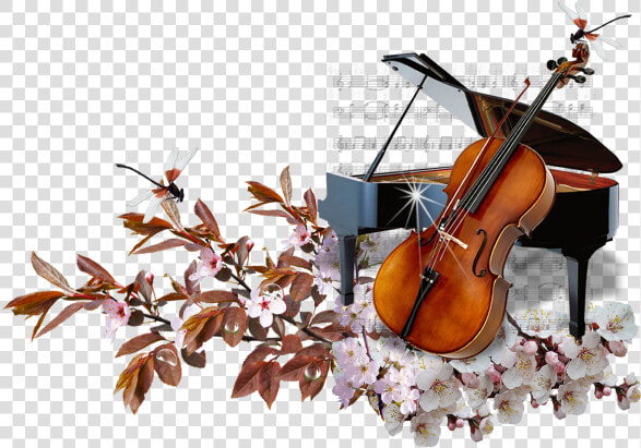 String Instrument violin Family violin bowed String   Piano And Cello Png  Transparent PngTransparent PNG