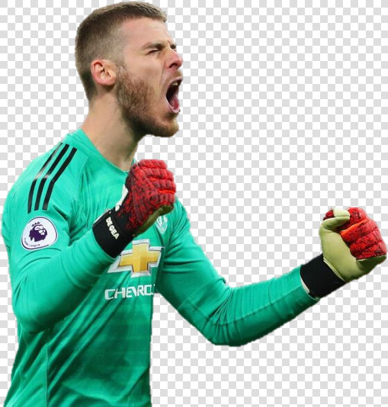 David De Gea Png  Transparent PngTransparent PNG