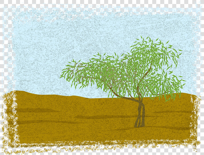 Transparent Grass Drawing Png   Grass  Png DownloadTransparent PNG