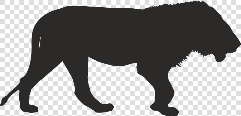 Africa Lion Vector Graphics Clip Art Rhinoceros   Silhouette African Animals Clipart  HD Png DownloadTransparent PNG