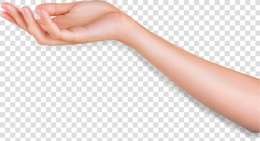 Arm Download Png Image   Arm Png  Transparent PngTransparent PNG