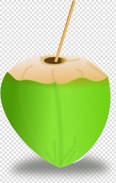 Coconut Icon   Coco Verde Desenho  HD Png DownloadTransparent PNG