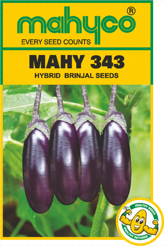 Brinjal Seeds In Bengal  HD Png DownloadTransparent PNG