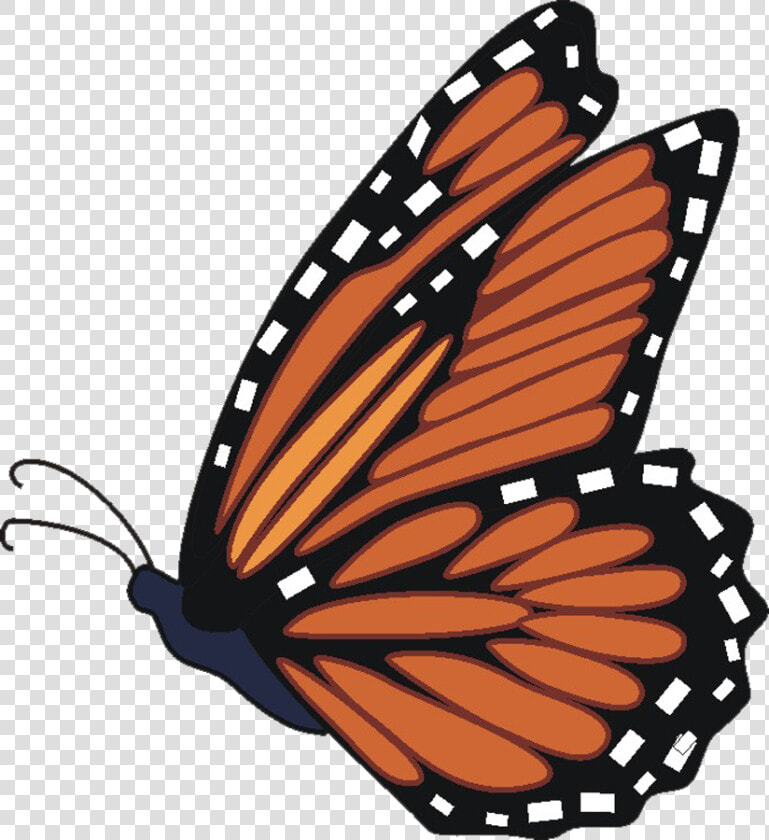 Butterfly Monarch Clipart Transparent Png   Flying Monarch Butterfly Clipart  Png DownloadTransparent PNG