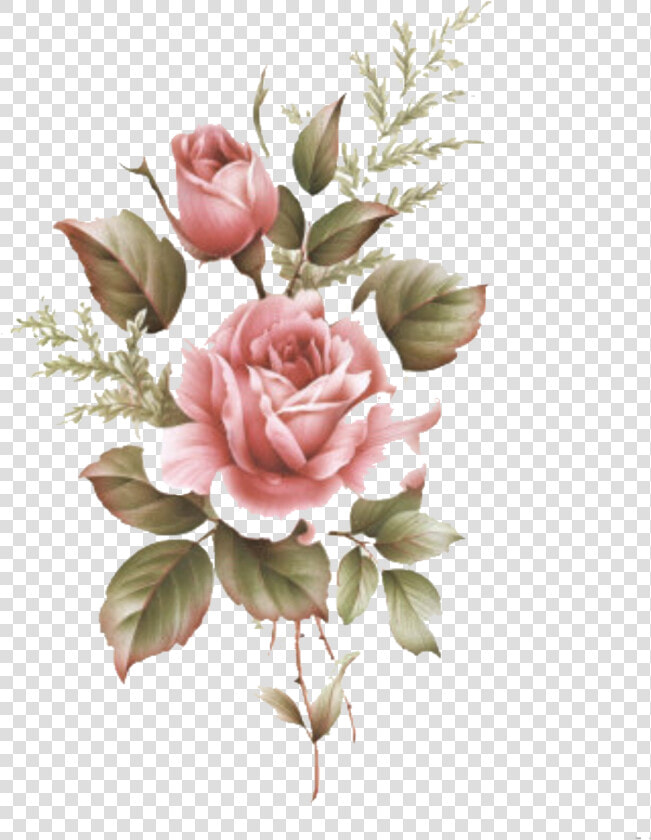  flowerpng  rose  overlays  kpopedit  freetoedit  nolza   Flower Drawing Tumblr Color  Transparent PngTransparent PNG