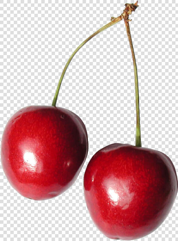 Red Cherry Png Image  Free Download   Cherry Transparent  Png DownloadTransparent PNG