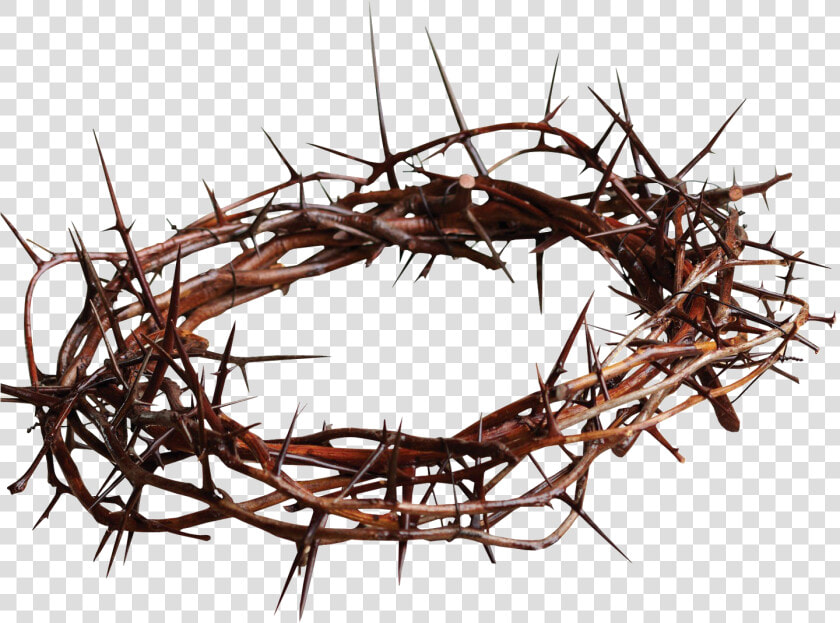 Jesus With Crown Of Thorns Christian Cross Gospel Spines   Crown Of Thorns  HD Png DownloadTransparent PNG