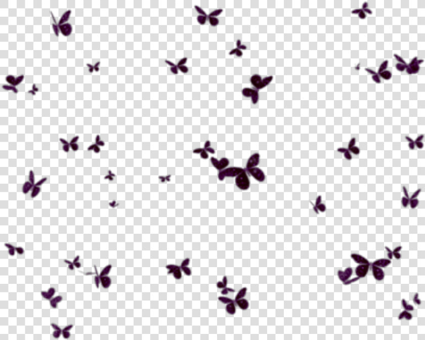  butterflies  mariposas  mariposa  butterfly  group   Fundo De Borboletas Em Png  Transparent PngTransparent PNG