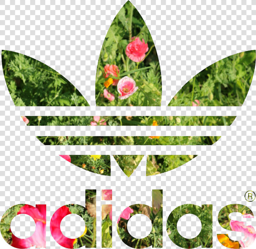 Transparent Adidas Png   Adidas Jacket Black And White Womens  Png DownloadTransparent PNG