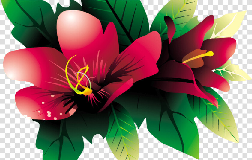 Images Of Tropical Flower Vines For Free Download On  HD Png DownloadTransparent PNG