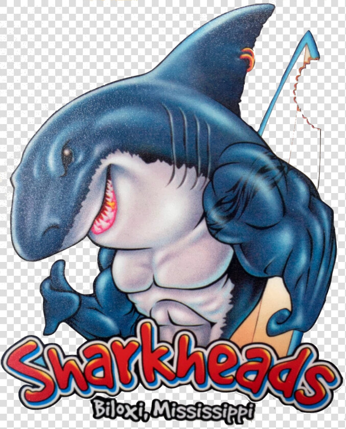 Surfing Sharks En Png  Transparent PngTransparent PNG