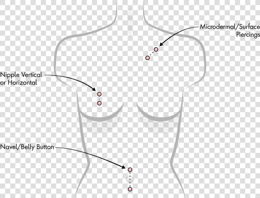 Transparent Nose Piercing Png   Body Piercings Locations  Png DownloadTransparent PNG