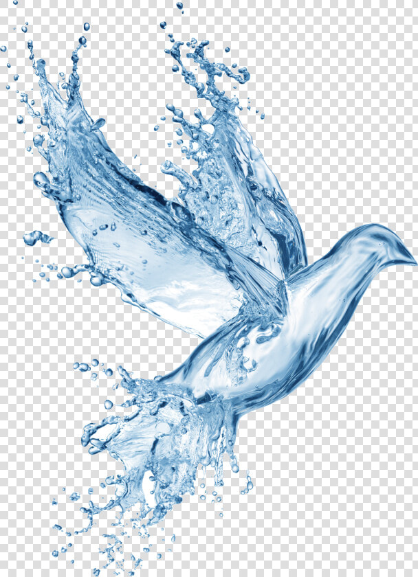  bird  dove  water  splash   Holy Spirit Symbols Water  HD Png DownloadTransparent PNG