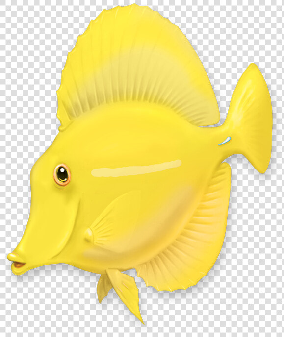 Pomacentridae  HD Png DownloadTransparent PNG