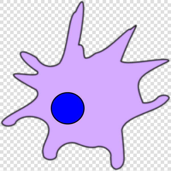 Dendritic Cell Clip Art At Clker   Dendritic Cell Clip Art  HD Png DownloadTransparent PNG