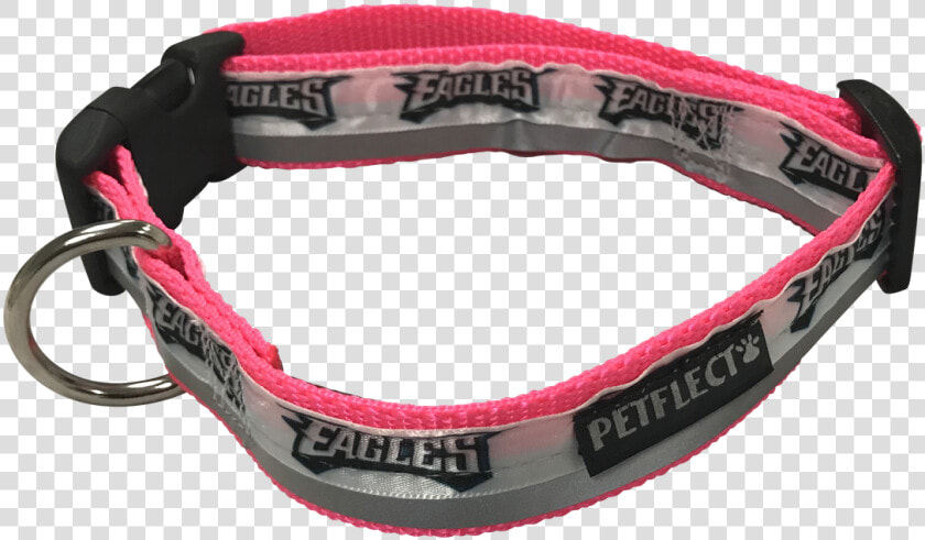 Philadelphia Eagles Dog Collar   Great Dane  HD Png DownloadTransparent PNG