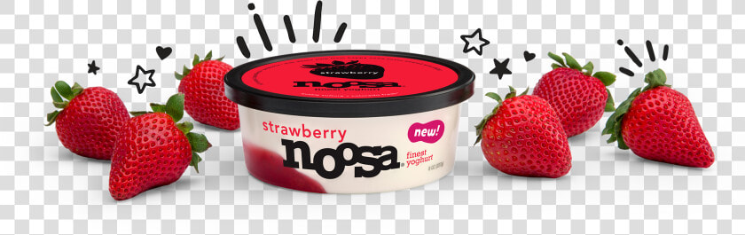 Noosa Lil Tubs  HD Png DownloadTransparent PNG