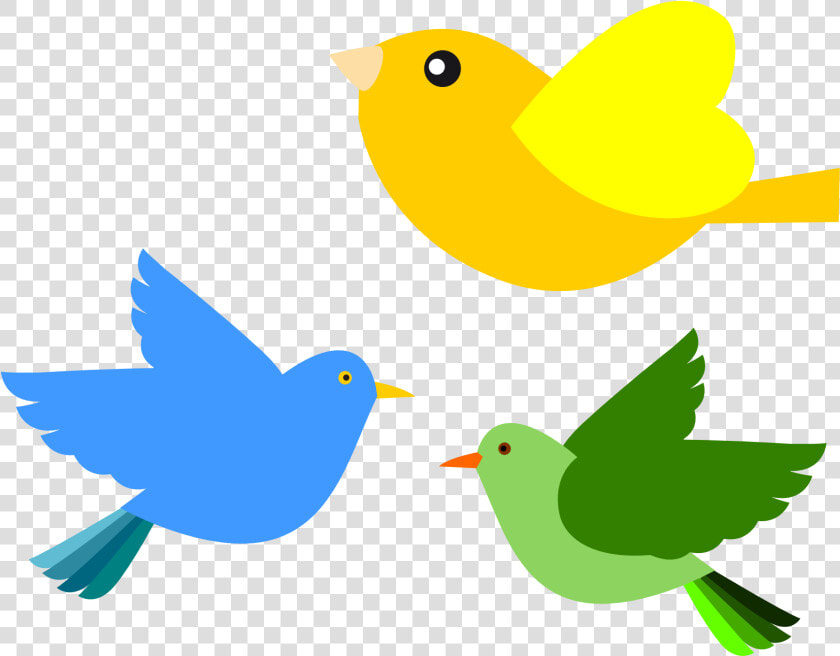 Twitter Bird Tweet Tweet 65 555px  HD Png DownloadTransparent PNG