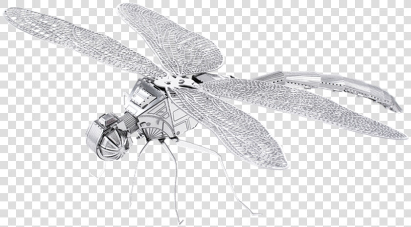 Metal Earth   Dragonfly   3d Metal Model Dragonfly  HD Png DownloadTransparent PNG