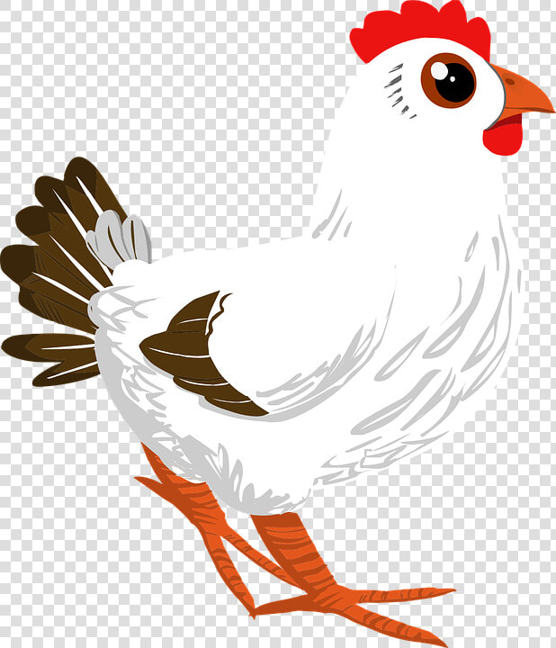 Rooster  Cock  Poultry  Cockerel  Chicken  Animal    Chicken Png Cartoon  Transparent PngTransparent PNG