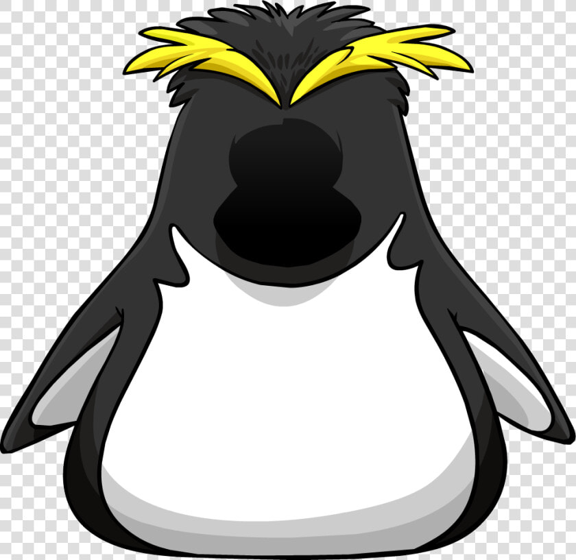 Club Penguin Wiki   Club Penguin Costumes  HD Png DownloadTransparent PNG