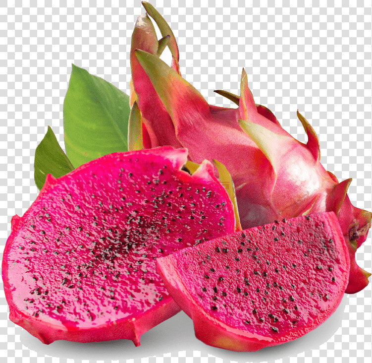 1 mcp On Dragon Fruit   Transparent Dragon Fruit Png  Png DownloadTransparent PNG