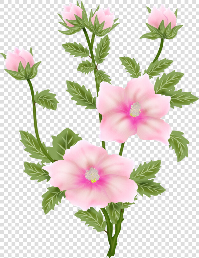 Filing  Painting  Flowers  Painting Art  Paintings   Tree Mallow  HD Png DownloadTransparent PNG