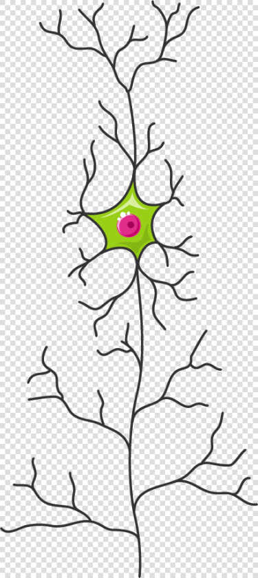 Servier Medical Art Neuron  HD Png DownloadTransparent PNG