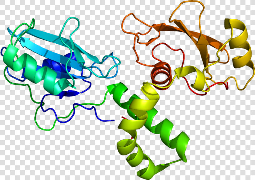 Protein Zap70 Pdb 1m61   Zap70 Structure  HD Png DownloadTransparent PNG