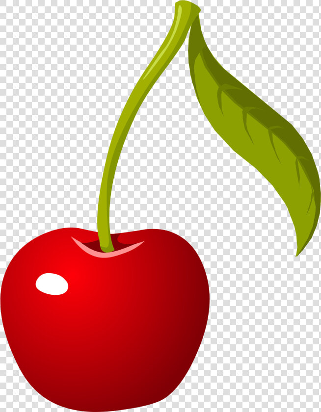 Download Cherry Png Picture   Cherry Clipart  Transparent PngTransparent PNG