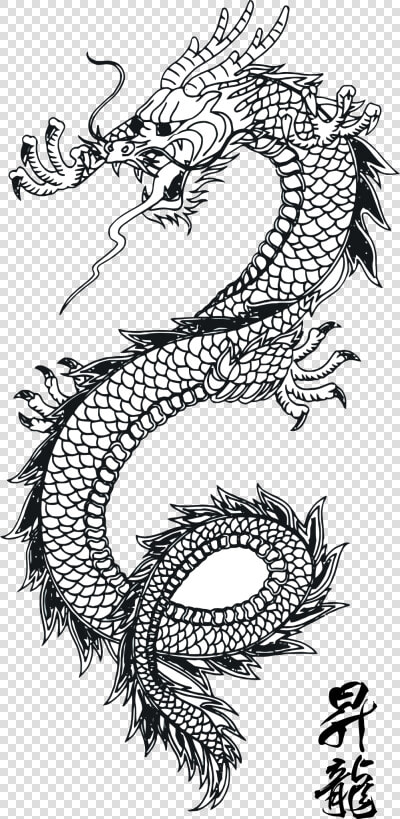 Dragon Vector Art 1   Chinese Dragon Line Art  HD Png DownloadTransparent PNG