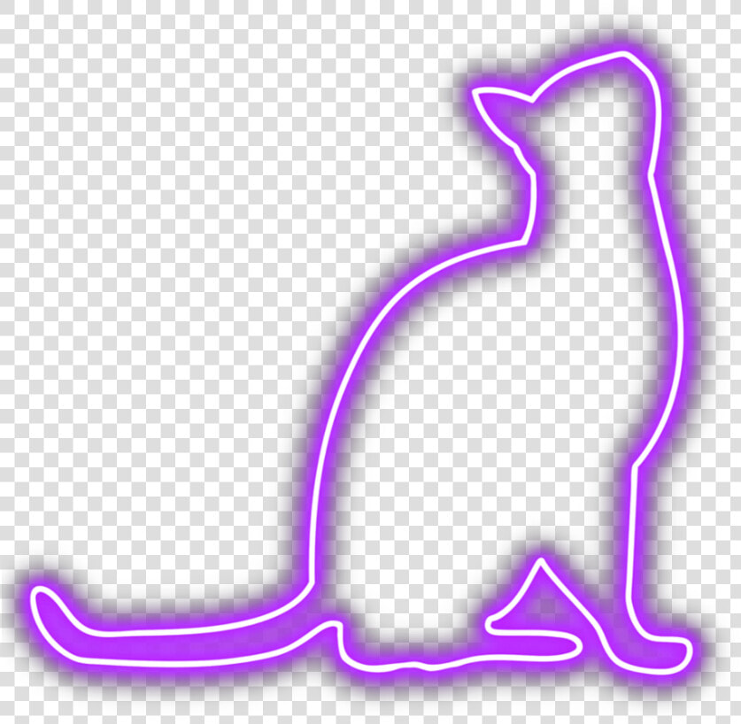  cat  neon  purple   Cat Neon Png  Transparent PngTransparent PNG