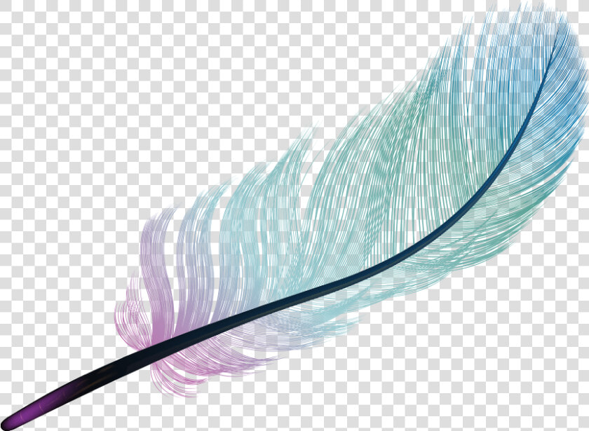 Feather Light Blue Color   Color Transparent Background Gradient  HD Png DownloadTransparent PNG