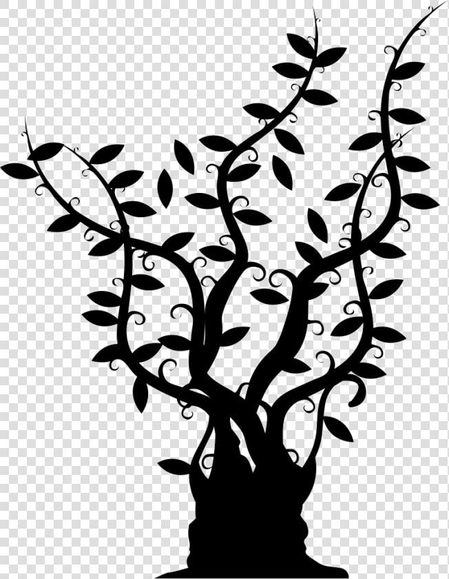 Transparent Tree Trunk Clipart Black And White   Arbol Con Ramas Largas  HD Png DownloadTransparent PNG