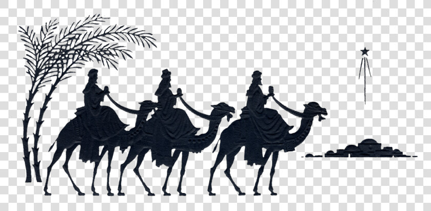 Three Wise Men Silhouette   Arabian Camel  HD Png DownloadTransparent PNG