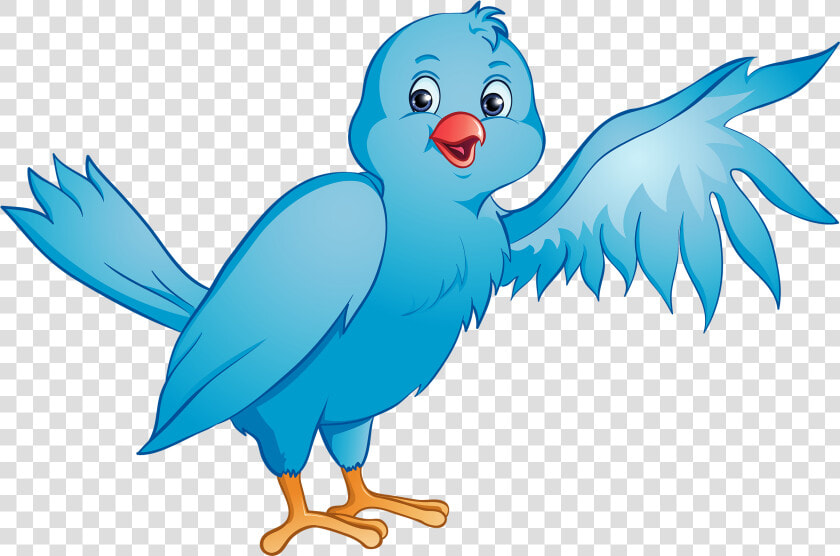 Bluebird Clipart Parrot   Clip Art Bird Png  Transparent PngTransparent PNG