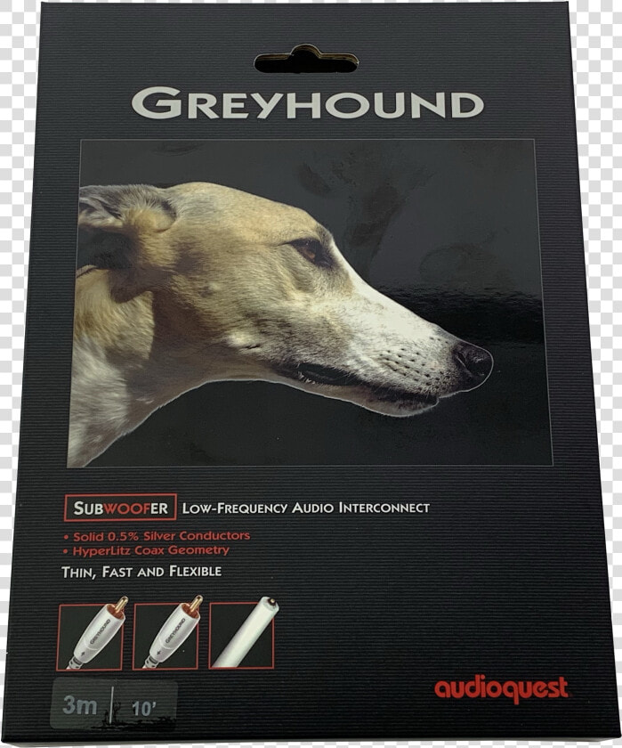 Greyhound  HD Png DownloadTransparent PNG