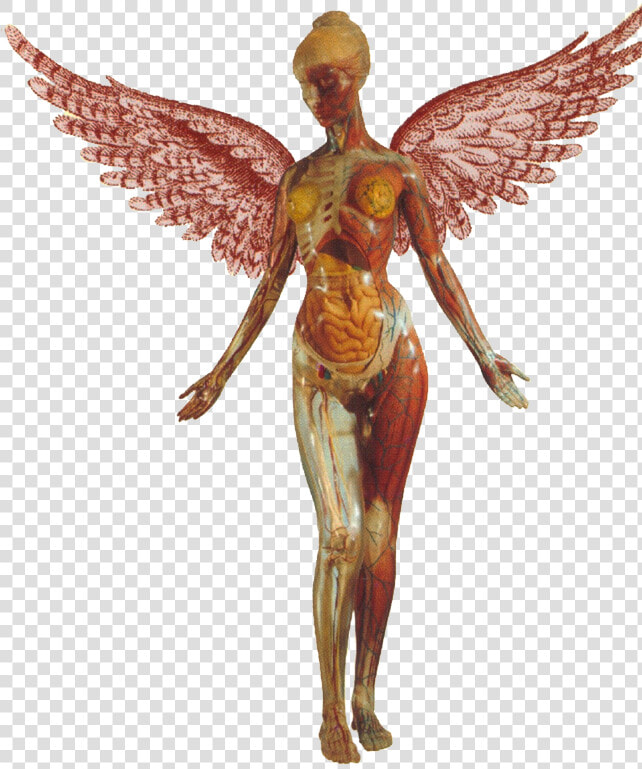 Nirvana In Utero Transparent  HD Png DownloadTransparent PNG