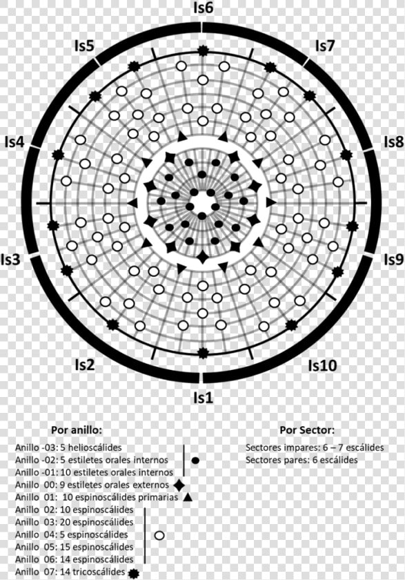 Diagrama Polar De Introvert   Circle  HD Png DownloadTransparent PNG