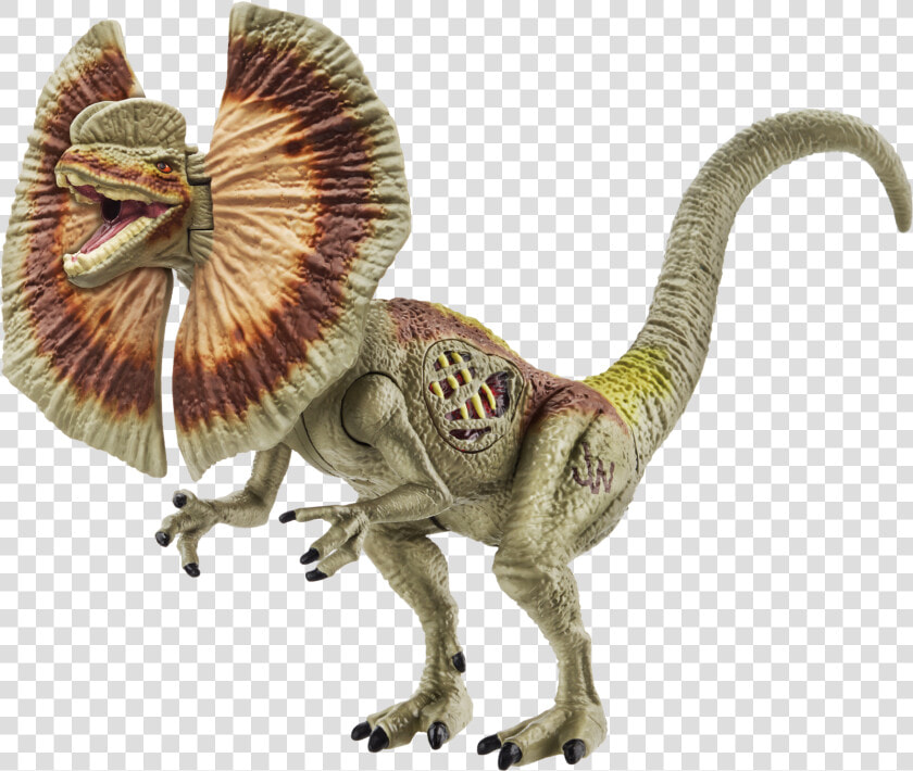 Jurasisc World Lights  amp  Sounds Figure Dilophosaurus   Dilophosaurus Frilled Lizard Dinosaur  HD Png DownloadTransparent PNG