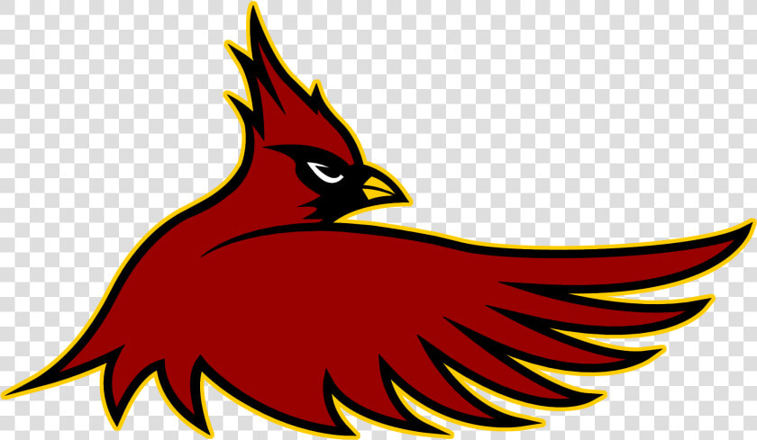 Free Download Cardinal Hayes Cardinals Clipart Cardinal   Cardinals Football Png  Transparent PngTransparent PNG