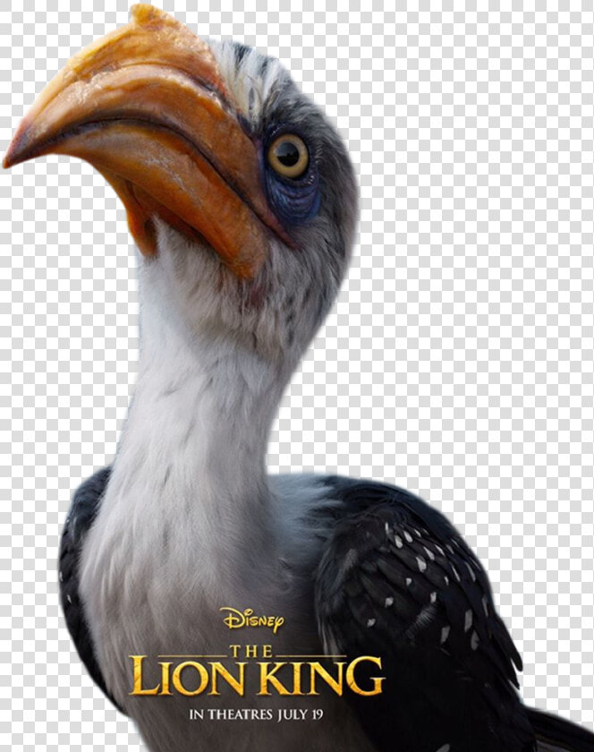 Zazu Lion King Live Action  HD Png DownloadTransparent PNG