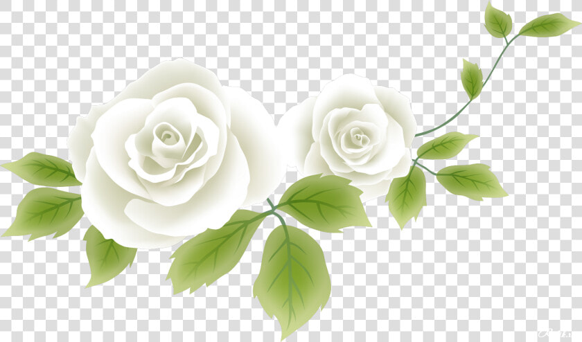 Flower Drawing Clip Art   Рисунок Розы Без Фона  HD Png DownloadTransparent PNG